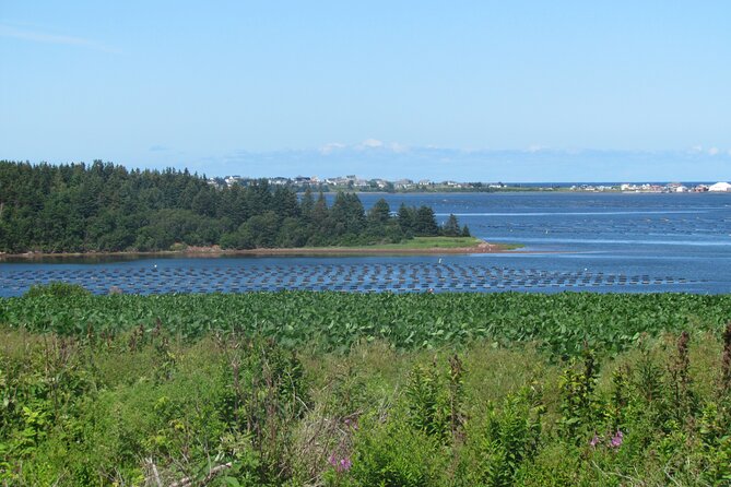 The Ultimate Anne of Green Gables Private Tour - Green Gables Entrance Fee Structure