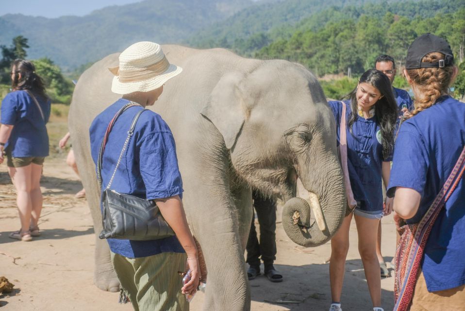 The Ultimate Elephant Experience and Coffee Workshop - Activity Details