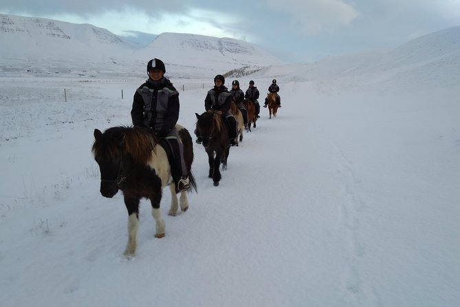 The Viking North Iceland Horse Riding in Winter Experience - Additional Information