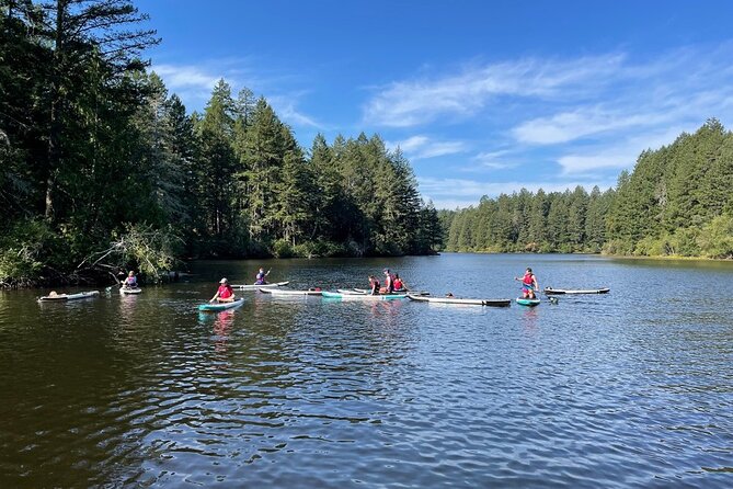 Thetis Lake Stand Up Paddle Boarding - Guided Tours Vs. Solo Paddling