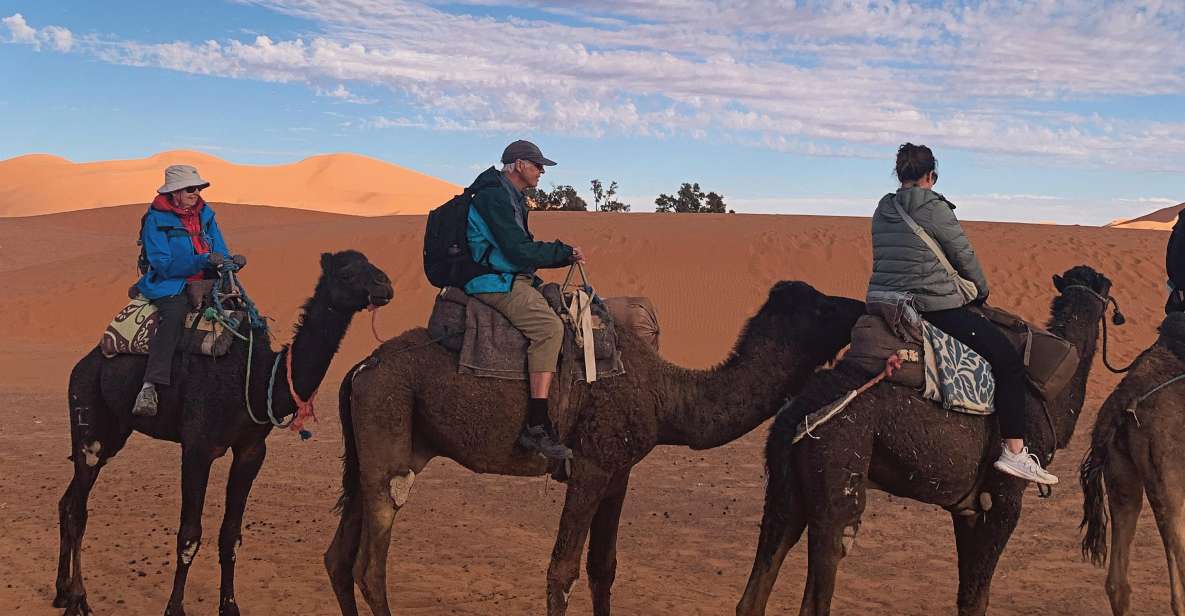 Three Days Desert Trip From Marrakech - Multilingual Driver Experience