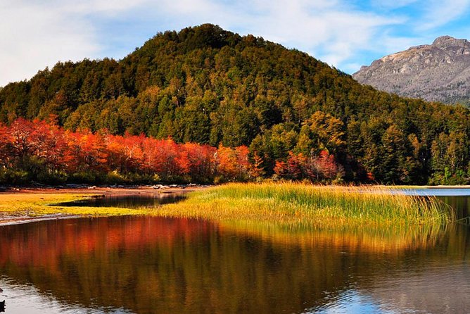 Tierra Del Fuego National Park With the End of the World Train - Cancellation Policy Details