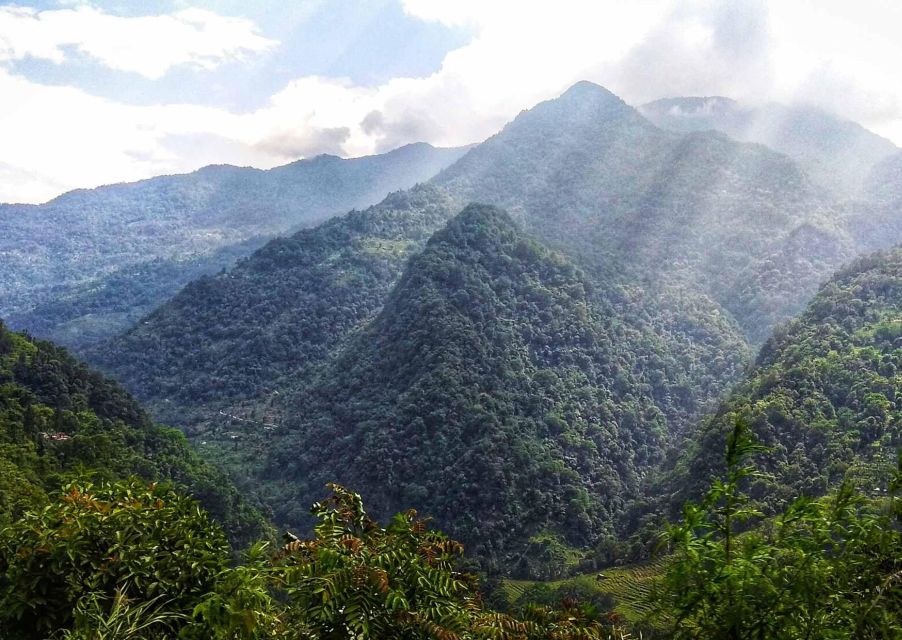 Tiger Hill Darjeeling Nature Walk (3 Hours Guided Tour) - Participant Requirements and Meeting Point