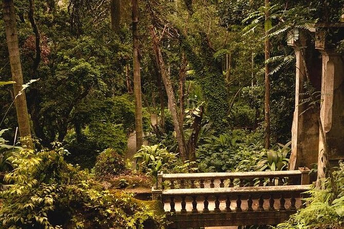 Tijuca National Park and Botanic Garden Guided Tour & Transfer - Last Words