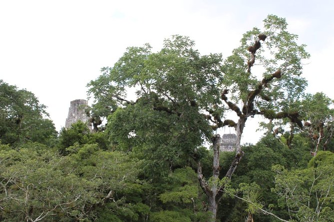 Tikal Exclusive Full Day Tour From Belize Border - Experience Inclusions