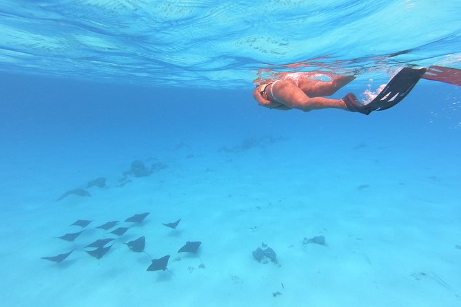 Tohora Bora Bora Snorkeling Lagoon Tours - Directions