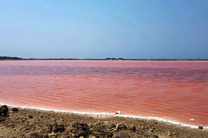 Totumo Volcano and Mar Rosa Tour in Cartagena With Lunch - Accommodations and Transportation Insights