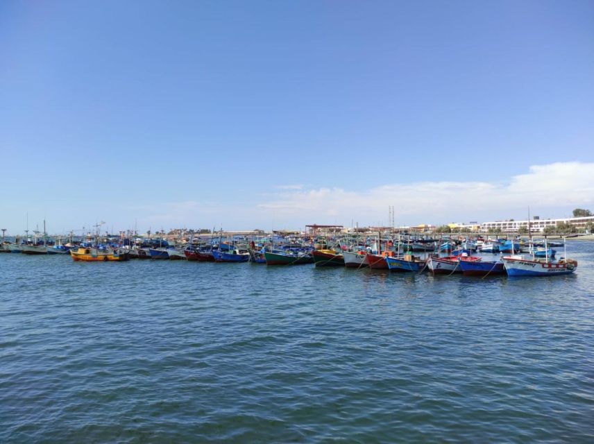 Tour: Ballestas Islands and the Paracas National Reserve - Availability