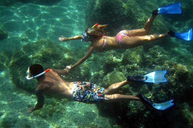 Tour in Rubber Dinghy and Snorkeling in the Protected Marine Area of Tavolara - Pricing Details