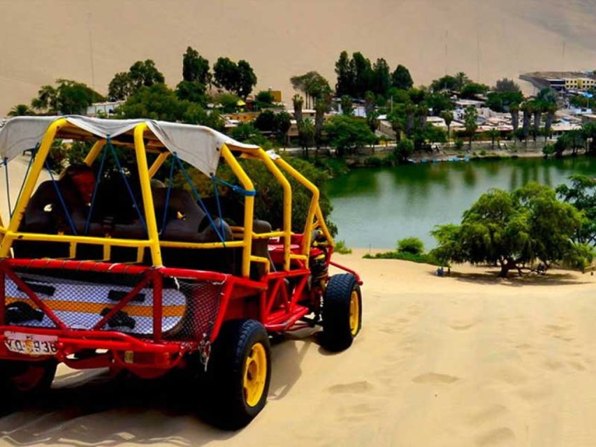 Tour to Ica, Paracas, and Ballestas Islands From Lima for 1 Day - Tour Highlights