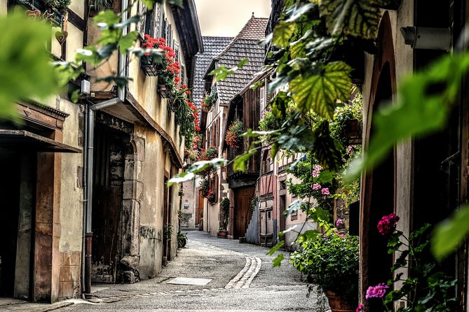 Touristic Highlights of Colmar a Private Half Day Tour With a Local - Vibrant Local Markets and Shops
