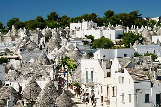 Town of Puglia Private Day Tour - Traveler Resources