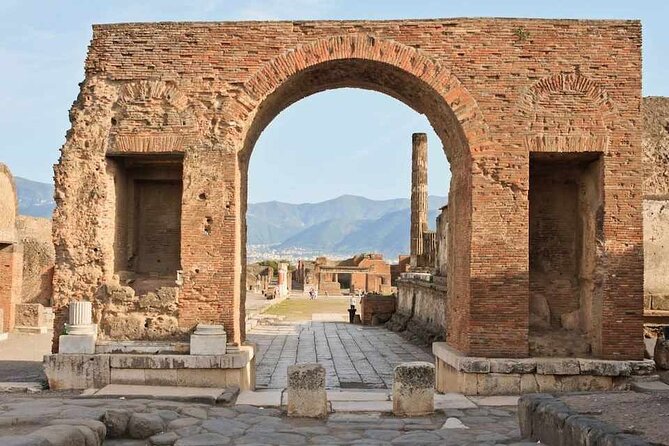 Transfers From Sorrento to Naples Plus 2 Hours Pompeii Excavations or Vice Versa - Pompeii Excavations Experience