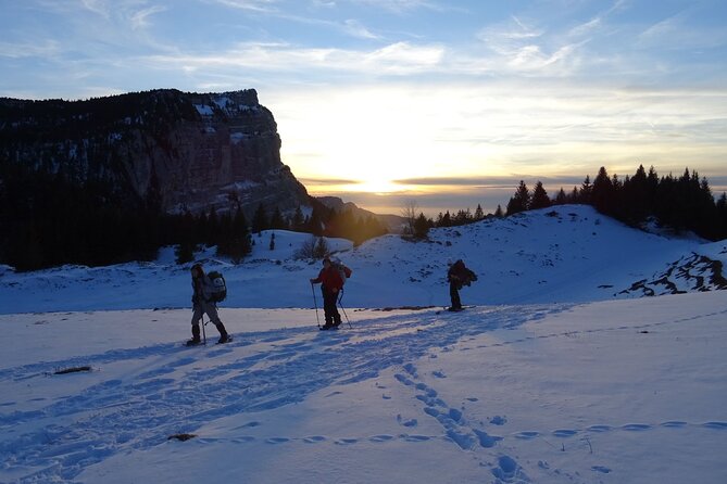 Trappeurs Evening : Snowshoeing and Dinner in a Mountain Refuge - Viator: Your Trusted Travel Partner