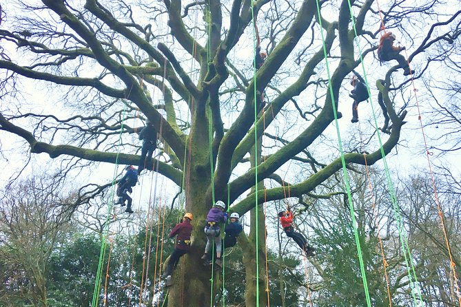 Tree Climbing Taster Session - Common questions