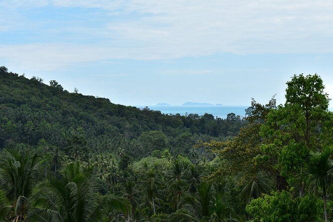 Treetop Tour Zipline Cable Rides in Koh Samui - Additional Information on Traveler Photos