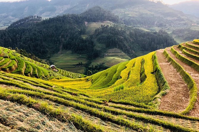 Trekking Sapa 1 Day - the Best Terraced Rice Field - Customer Support and Contact Information