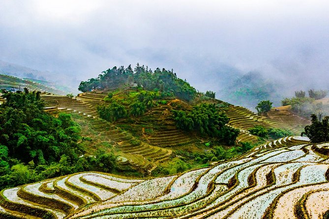 Trekking Through Rice Terraced Fields - 1Day - Unforgettable Tour Highlights