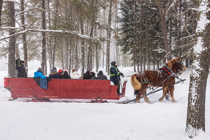 Tremblant Sleighride - Reviews and Booking