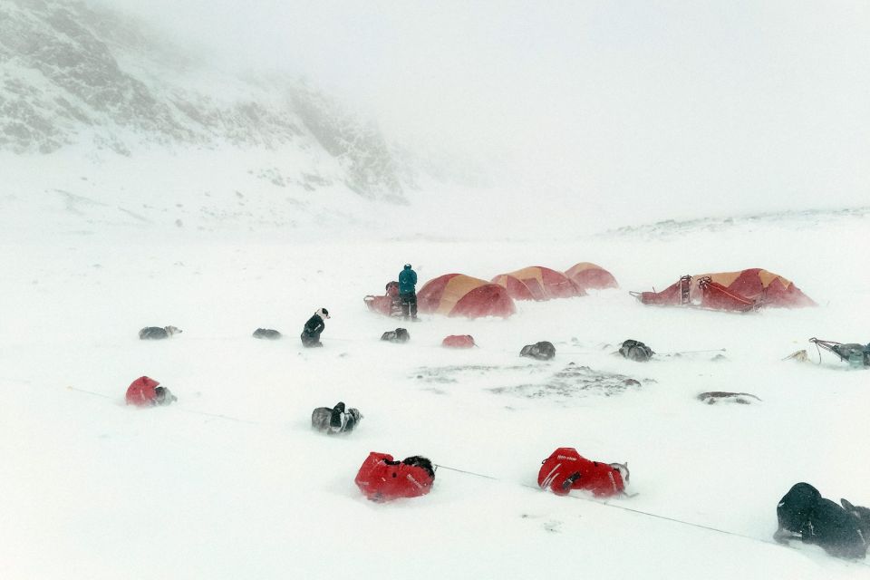 Tromso: 8-Day Dog Sledding Expedition With Alaskan Huskies - Preparation Needed