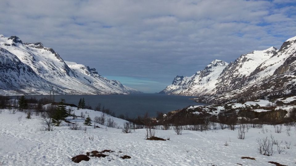 Tromsø: Arctic Landscape and Fjord Tour - Inclusions and Exclusions