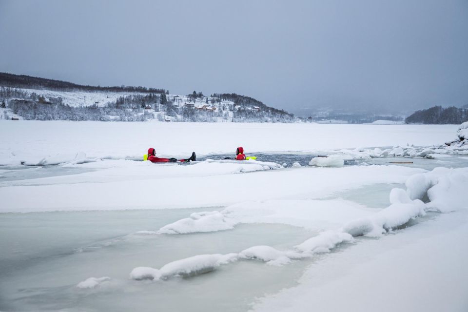 Tromsø: Arctic Ocean Floating Camp Rescue Suit Swimming - Tour Experience