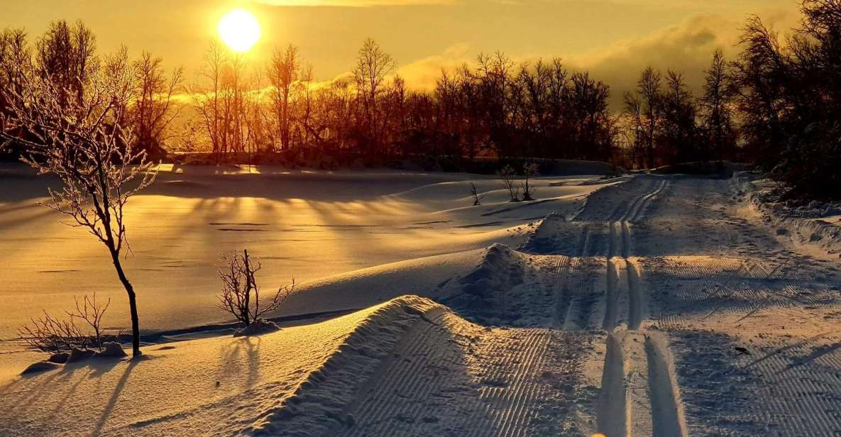 Tromsø: Cross Country Course With a Guide and Views - How to Book and Prepare