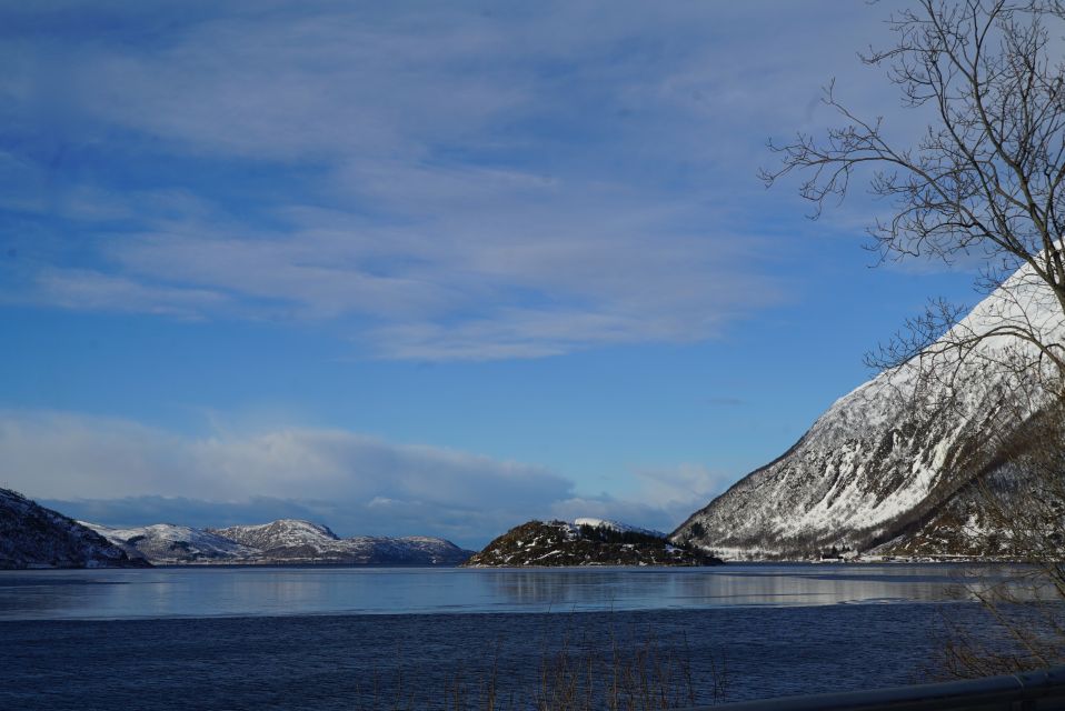 Tromsø: Fjord Sightseeing in a Tesla X Luxury Electric Car - Trip Highlights