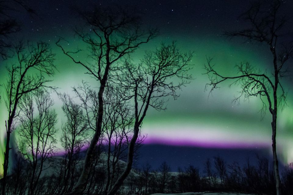 Tromsø: Northern Lights Chase With Free Photos - Guest Satisfaction Factors