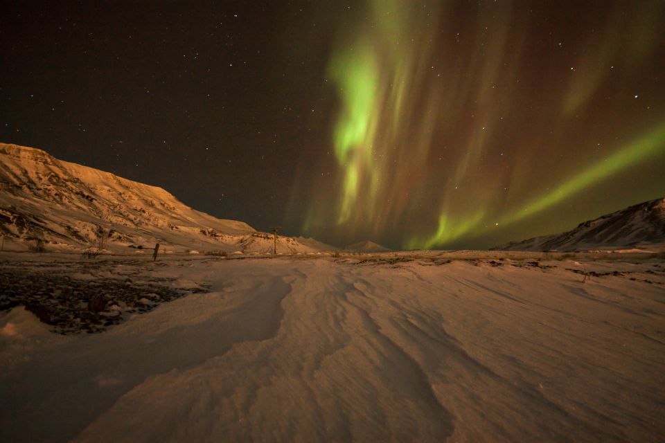 Tromsø: Northern Lights Guided Bus Tour - Participant Requirements