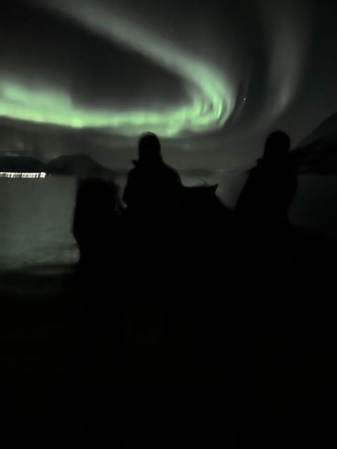 Tromsø: Northern Lights Horse Ride Photo Trip - Northern Lights Experience