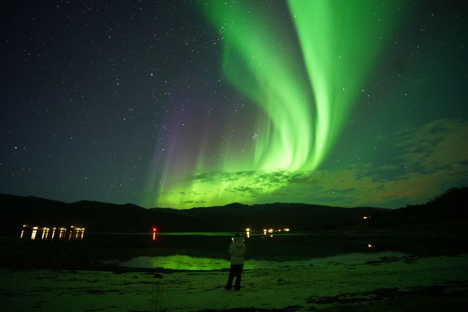 Tromsø: Northern Lights Tour With Free Professional Portrait - Meeting Arrangements