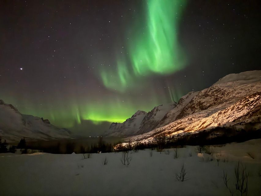 Tromsø: Northern Lights Tour With Hot Food and Drinks - Live Tour Guide