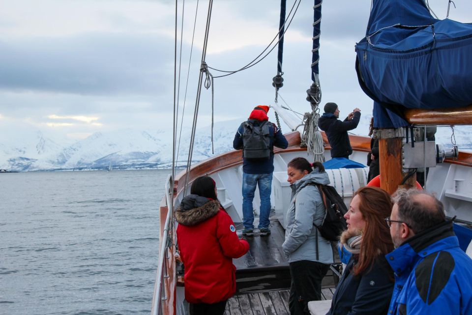 Tromsø: Polar Fjord Cruise on a Luxury Yacht With Lunch - Holmesundet Experience