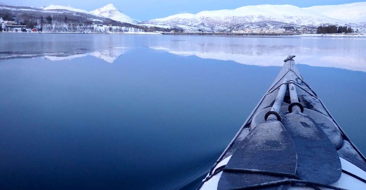 Tromsø: Winter Sea Kayaking Tour With Wildlife Sightings - Flexible Booking