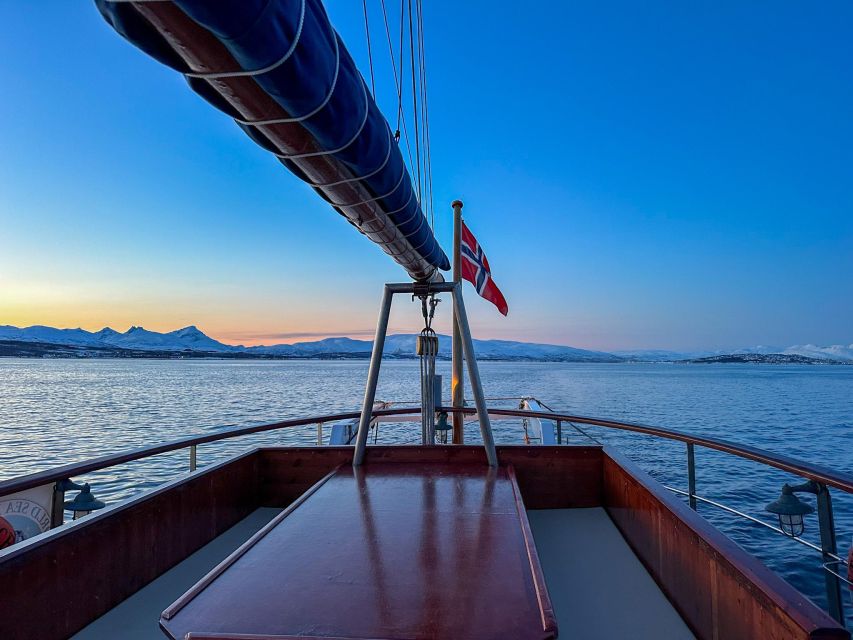 Tromsø:Arctic Fishing & Seafood Fjord Cruise on Luxury Yacht - Main Sites and Activities