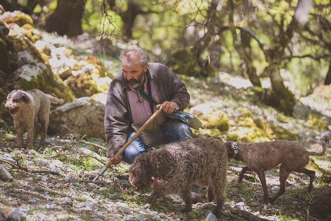 Truffle Hunting, Culinary & Wine Celebration From Elounda - Exclusive Insider Access Opportunities
