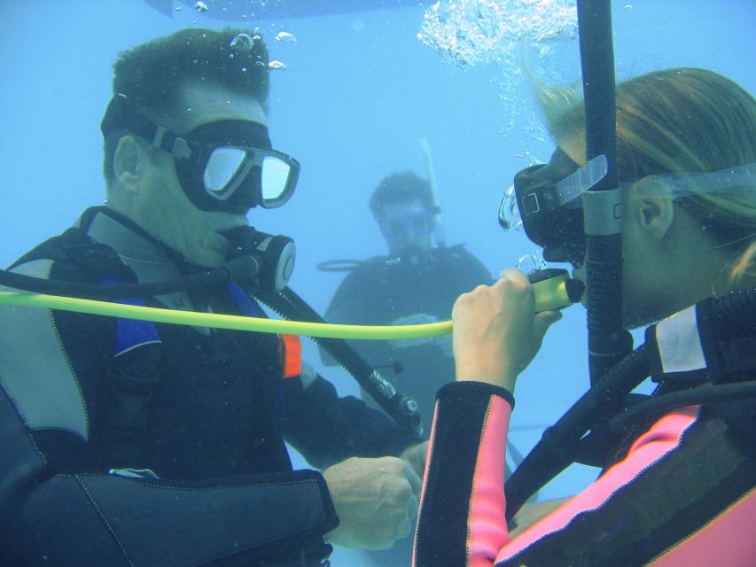 TučEpi: Adriatic Sea Diving Lessons With Guided Dive & Gear - Customer Reviews