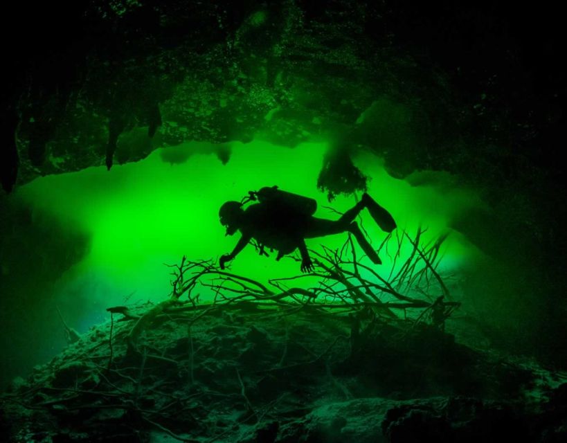 Tulum : Scuba in 2 Cenotes Including a Deep One Pit Dos Ojos - Immerse Yourself in Cenote Dos Ojos