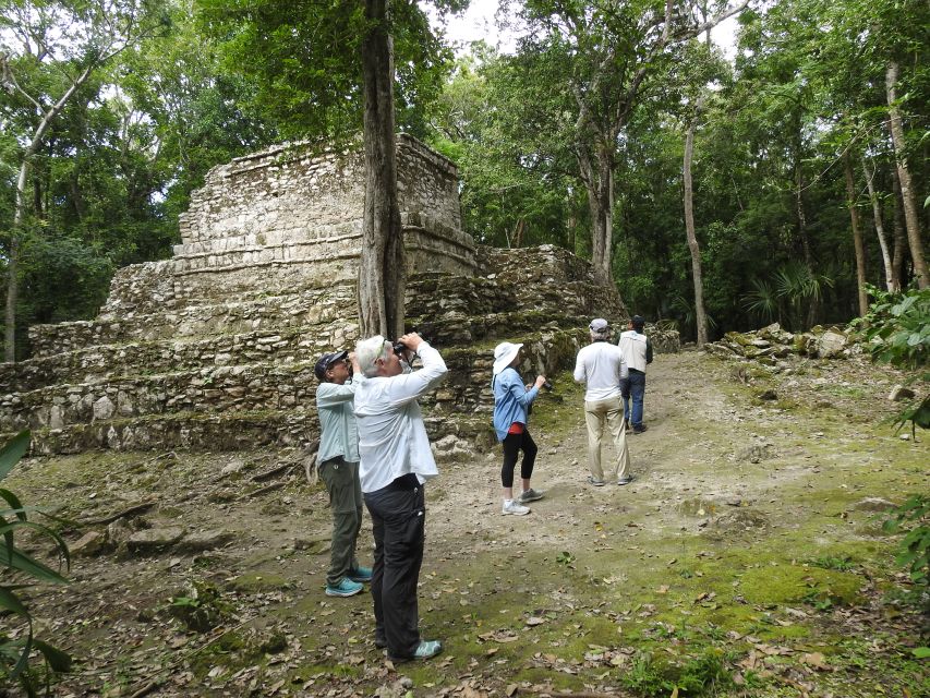 Tulum: Sian Ka'an Biosphere Reserve Guided Birdwatching Hike - Important Information