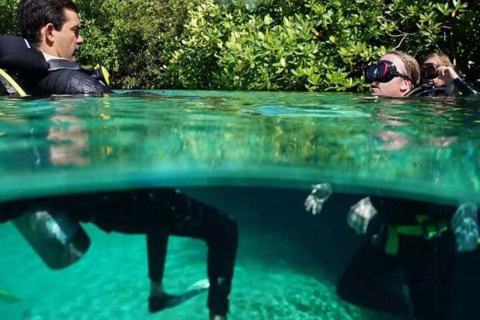 Tulum: Wonders of the Underwater World Discover Scuba Diving - Uncover Underwater Realm