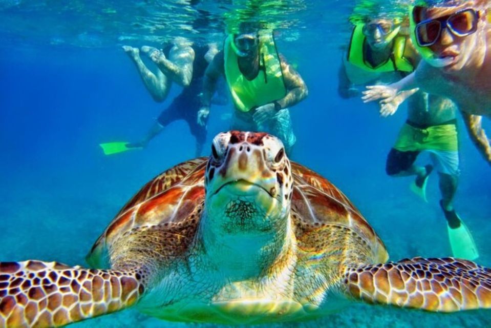 Tulum:Private Mayan Ruins & Swimming With Turtles Experience - Tour Highlights