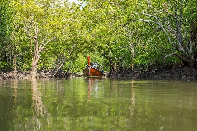 Tung Yee Peng Mangrove Forest Tour By Longtail Boat From Koh Lanta - Weather Considerations