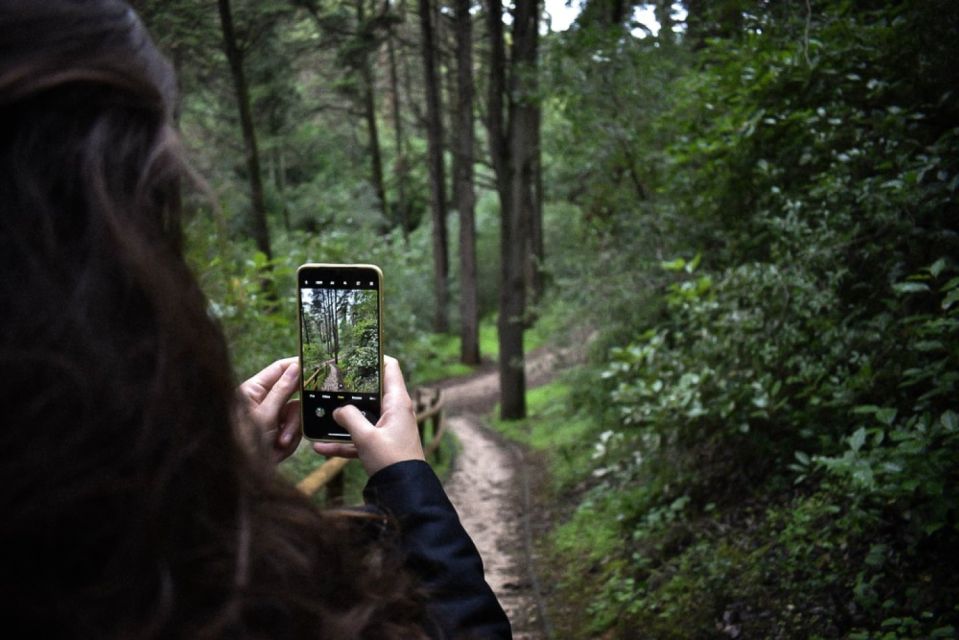 Tunnel Mountain Trail: Nature Tour With Audio Guide - Additional Information