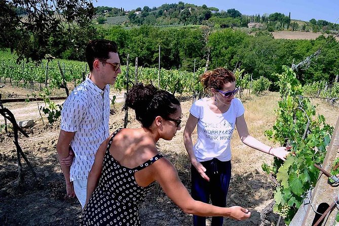 Tuscany Region Guided Small-Group Wine Tasting From Florence - Customer Reviews