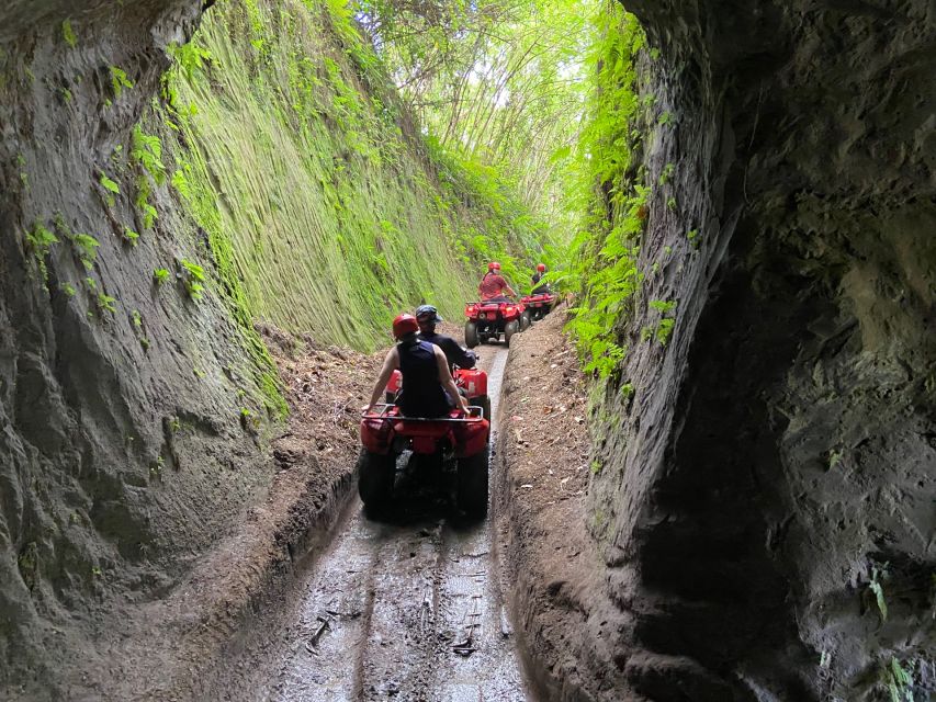 Ubud Bali: Gorilla Face ATV & Jungle Swing With Lunch - Tour Guide