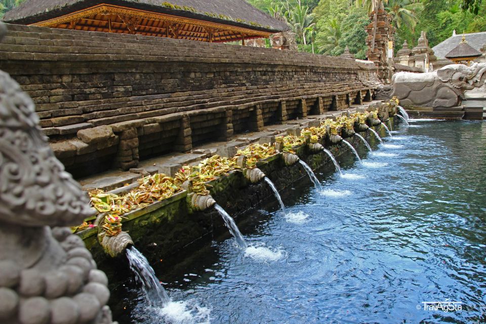 Ubud Bali: Highlight Private Tour With Hotel Transfer - Exclusions