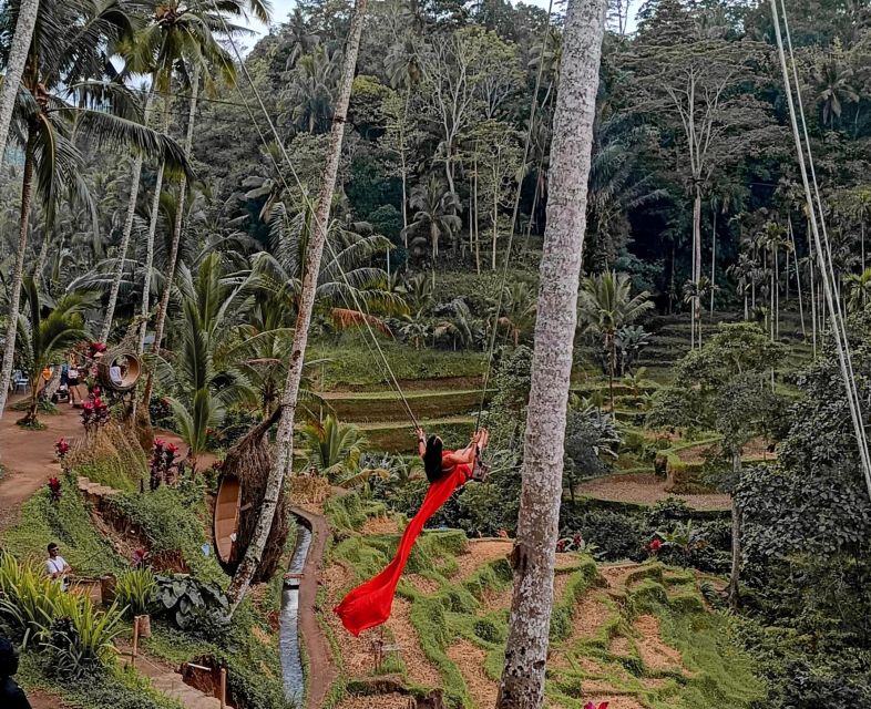 Ubud Best Attractions: Rice Terrace, Waterfall, Swing Tour - Bali Jungle Swing