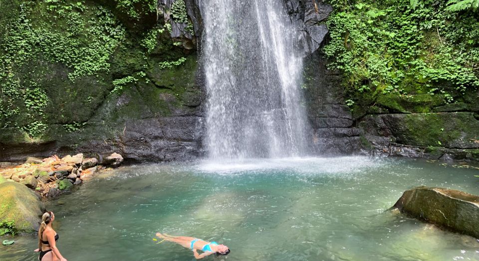 Ubud: Monkey Forest, Rice Terrace & Waterfall Guided Tour - Feedback