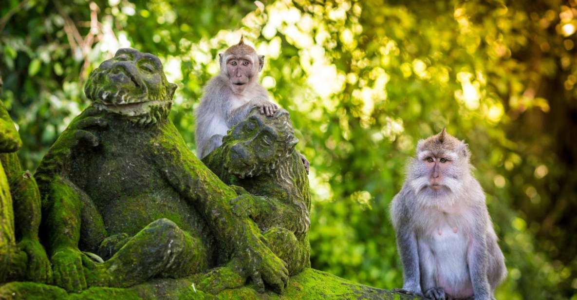 Ubud: Monkey Forest, Waterfall & Rice Terraces Guided Tour - Customer Reviews and Testimonials